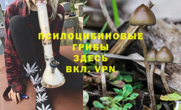 марки lsd Алзамай